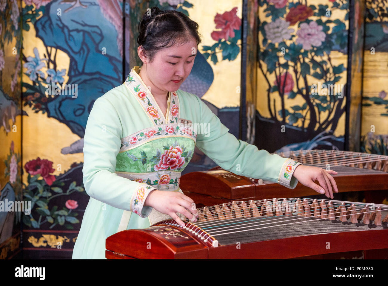 Guzheng hi-res stock photography and images - Alamy
