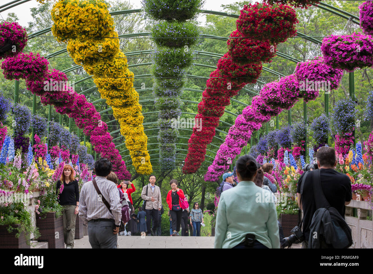 Hanging baskets garden hires stock photography and images Alamy