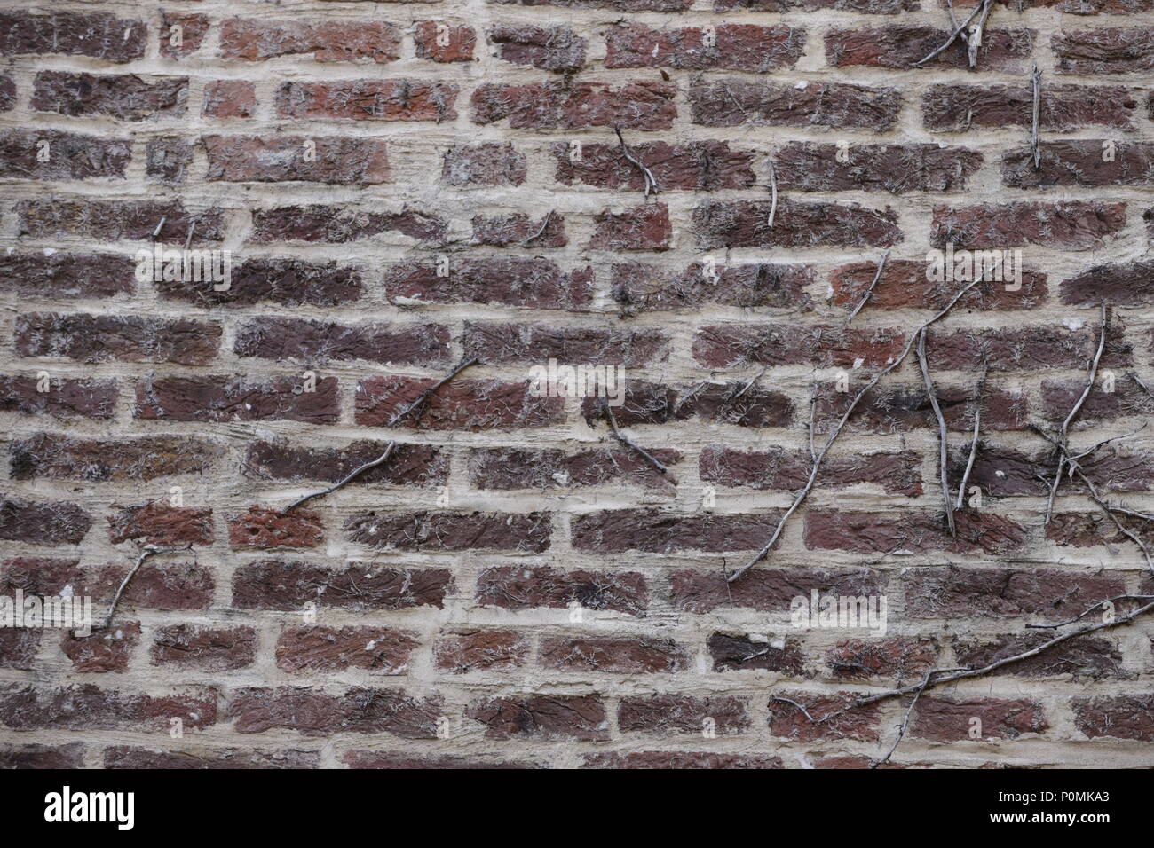 An old brick wall from a medieval house Stock Photo