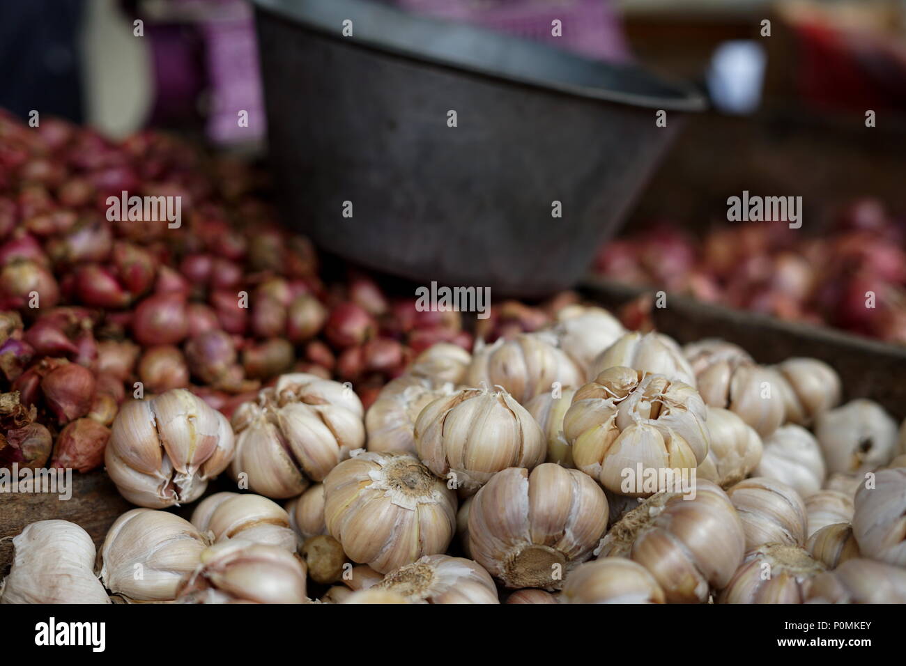 Farmers harvesting onions hi-res stock photography and images - Alamy