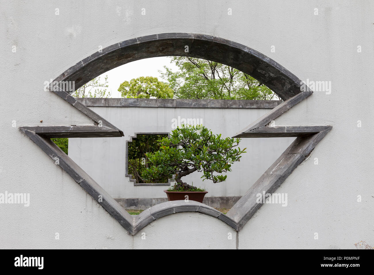 Yangzhou, Jiangsu, China.  Bonsai Tree, Bonsai Garden, Slender West Lake Park. Stock Photo