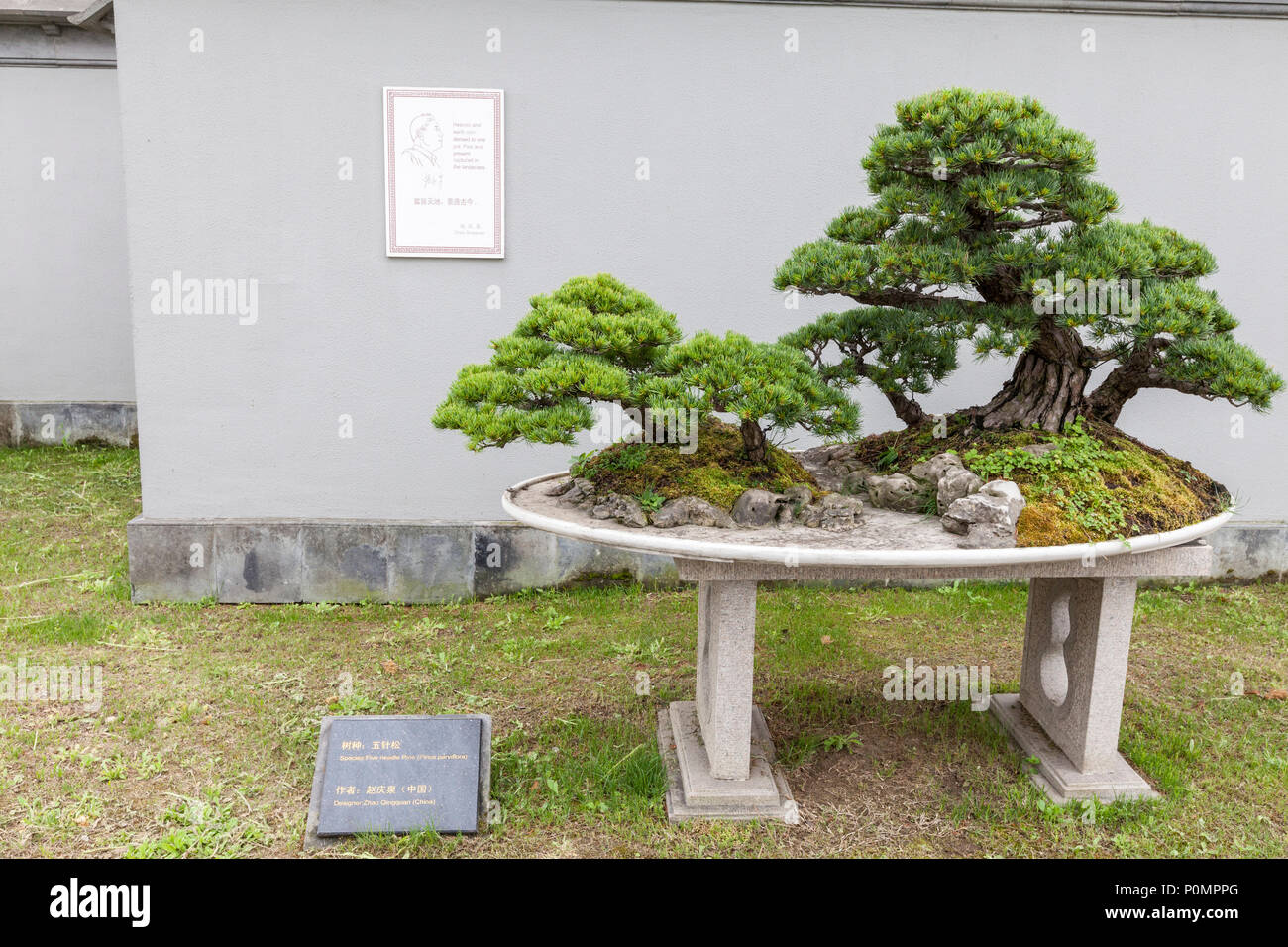 Bonsai garden hi-res stock photography and images - Alamy