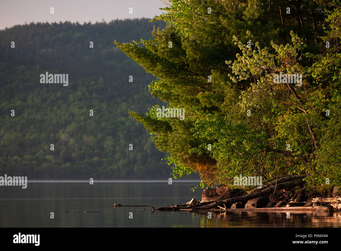 Horizontal pictures of the landscape inside Ontario's Driftwood Provincial Park located along the Ottawa River in Eastern Ontario, Canada. Stock Photo