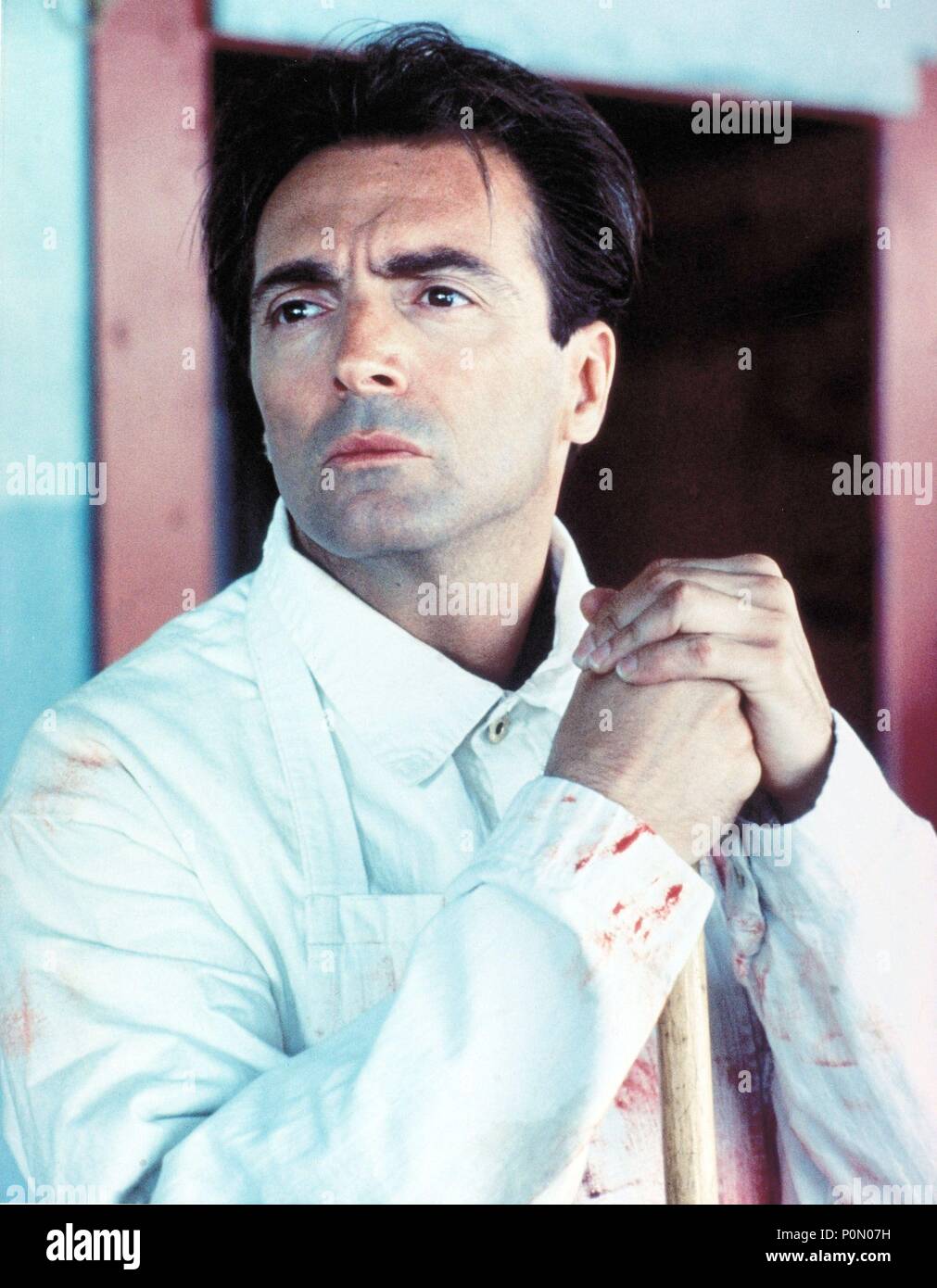 Stars: ARMAND ASSANTE Stock Photo - Alamy