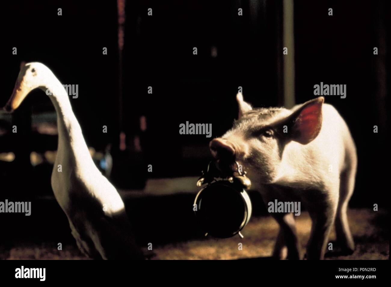 Original Film Title: BABE, THE GALLANT PIG.  English Title: BABE, THE GALLANT PIG.  Film Director: CHRIS NOONAN.  Year: 1995. Credit: UNIVERSAL PICTURES / TOWNLEY, JIM / Album Stock Photo
