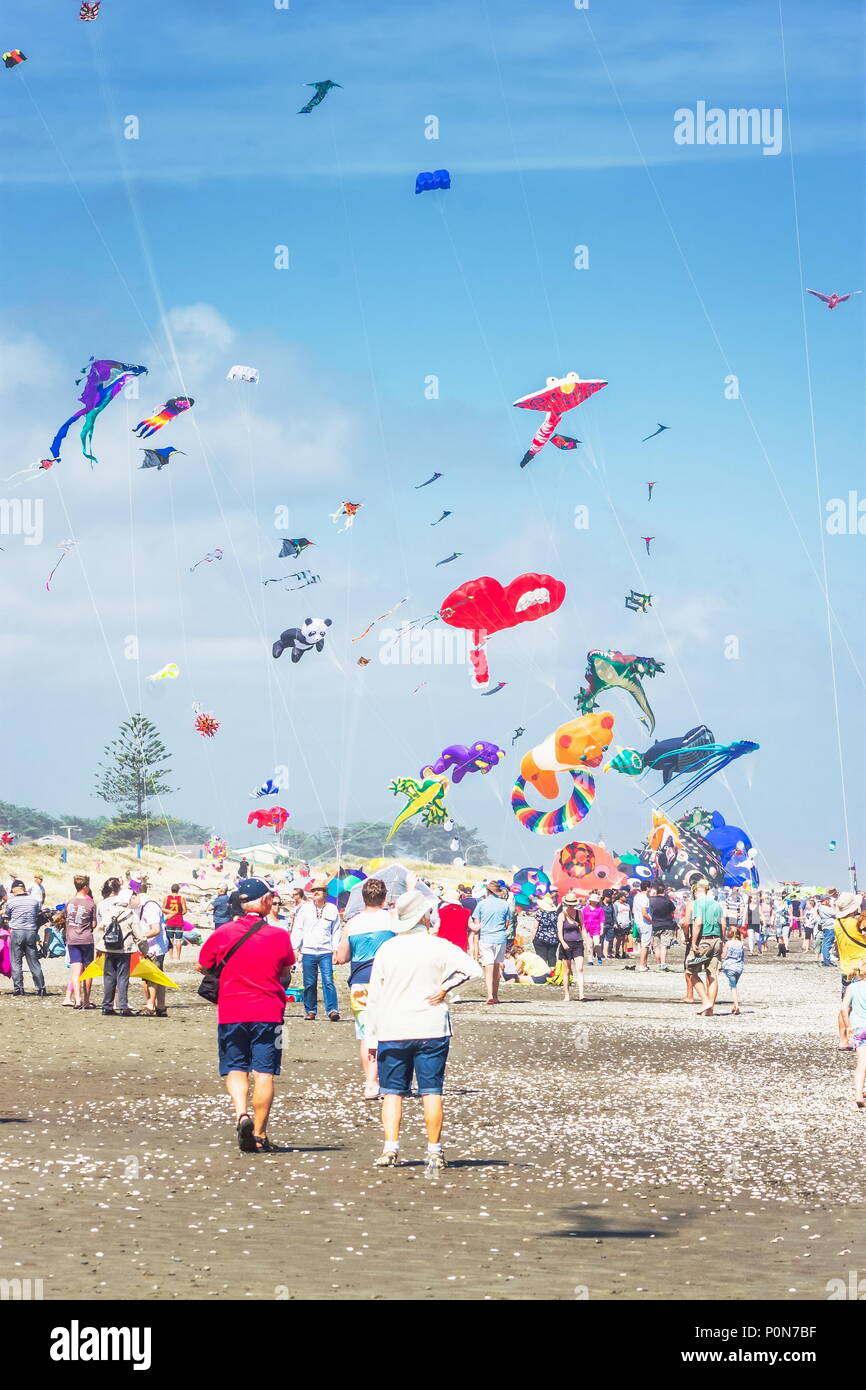 Pakiri Beach, Kite fishing, itravelNZ® - New Zealand in your pocket™