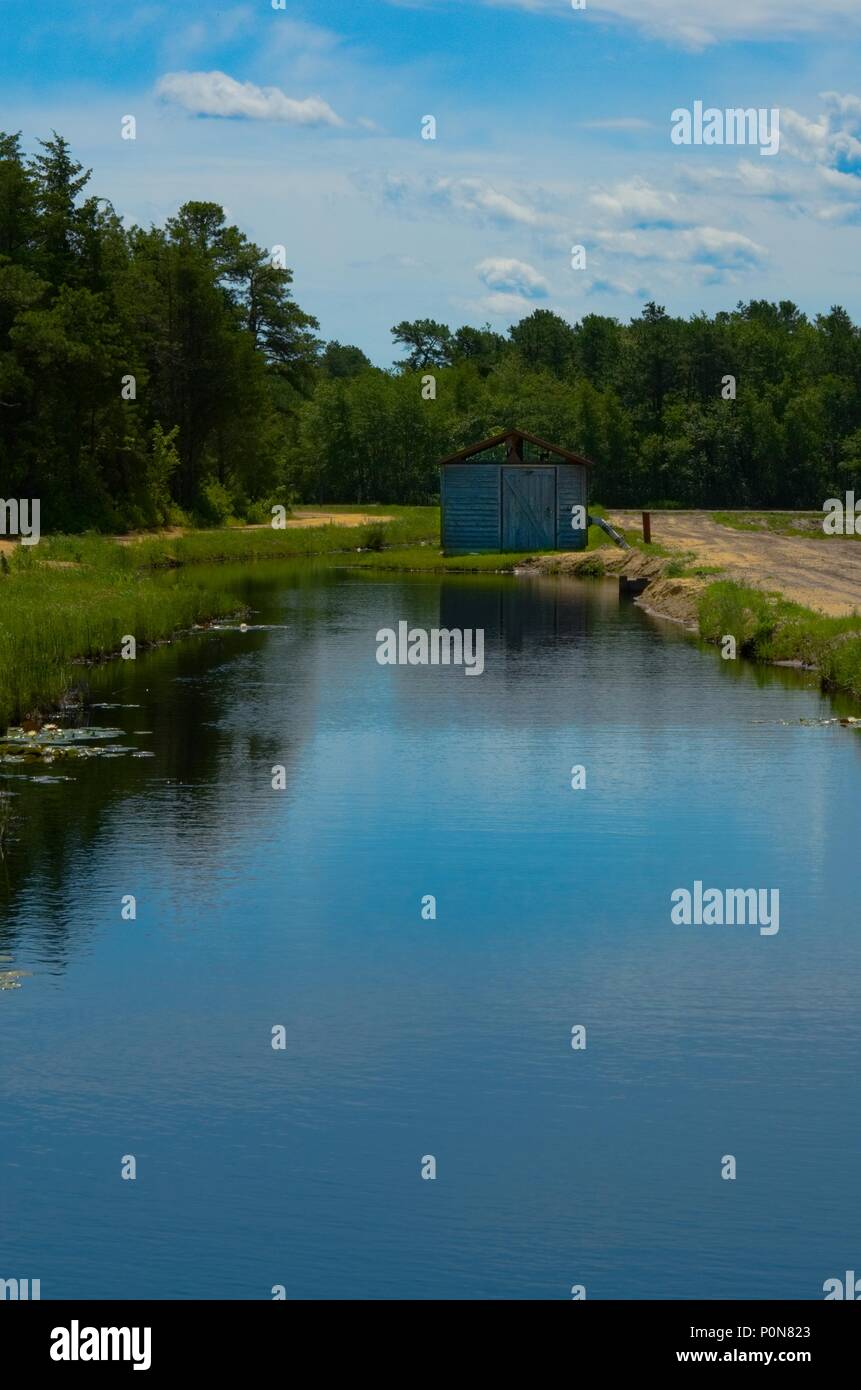 Cranberry bogs water retention basin Stock Photo Alamy