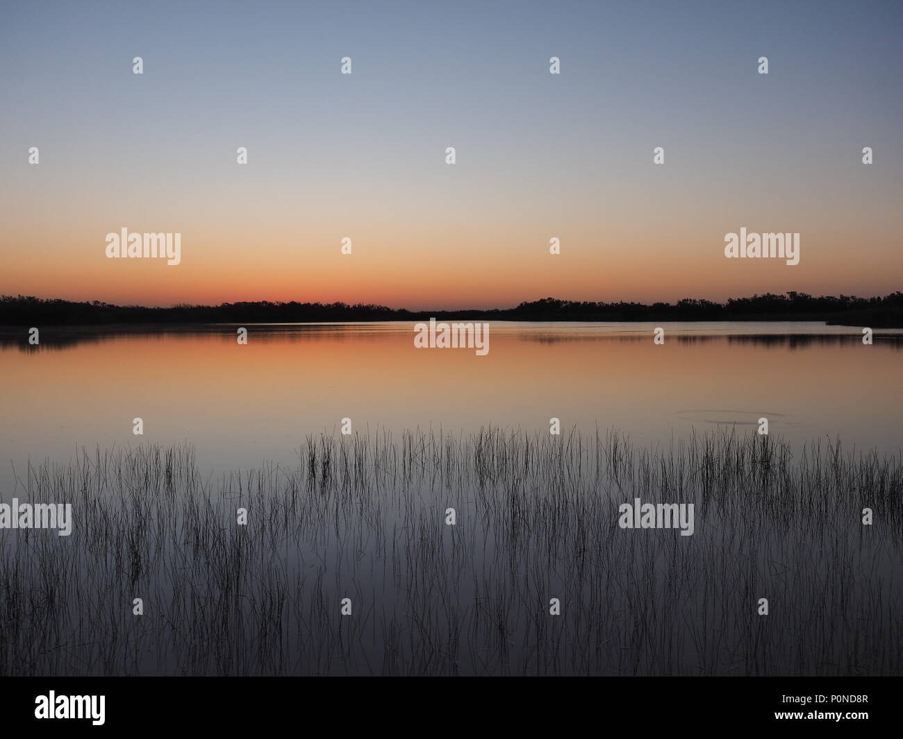 Sunrise on Nine Mile Pond in Everglades National Park, Florida Stock Photo Alamy
