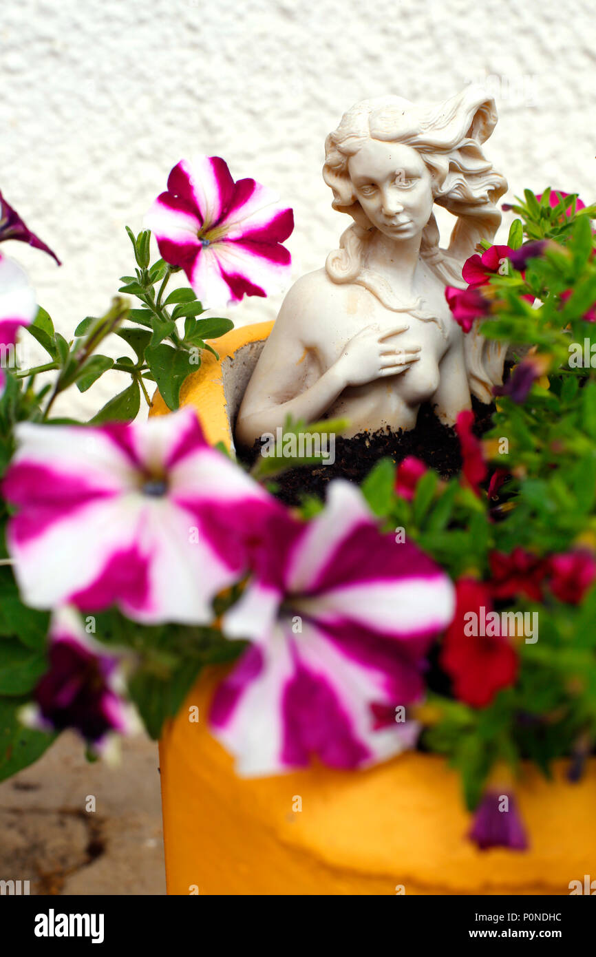 A small statue of venus in amongst potted Petunias and other summer plants. Stock Photo