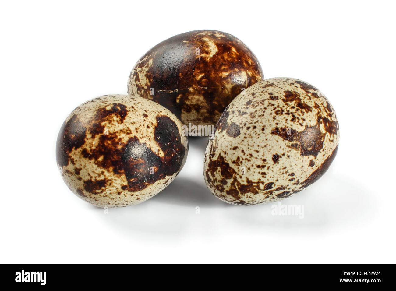 Three quail eggs isolated on white background. Stock Photo