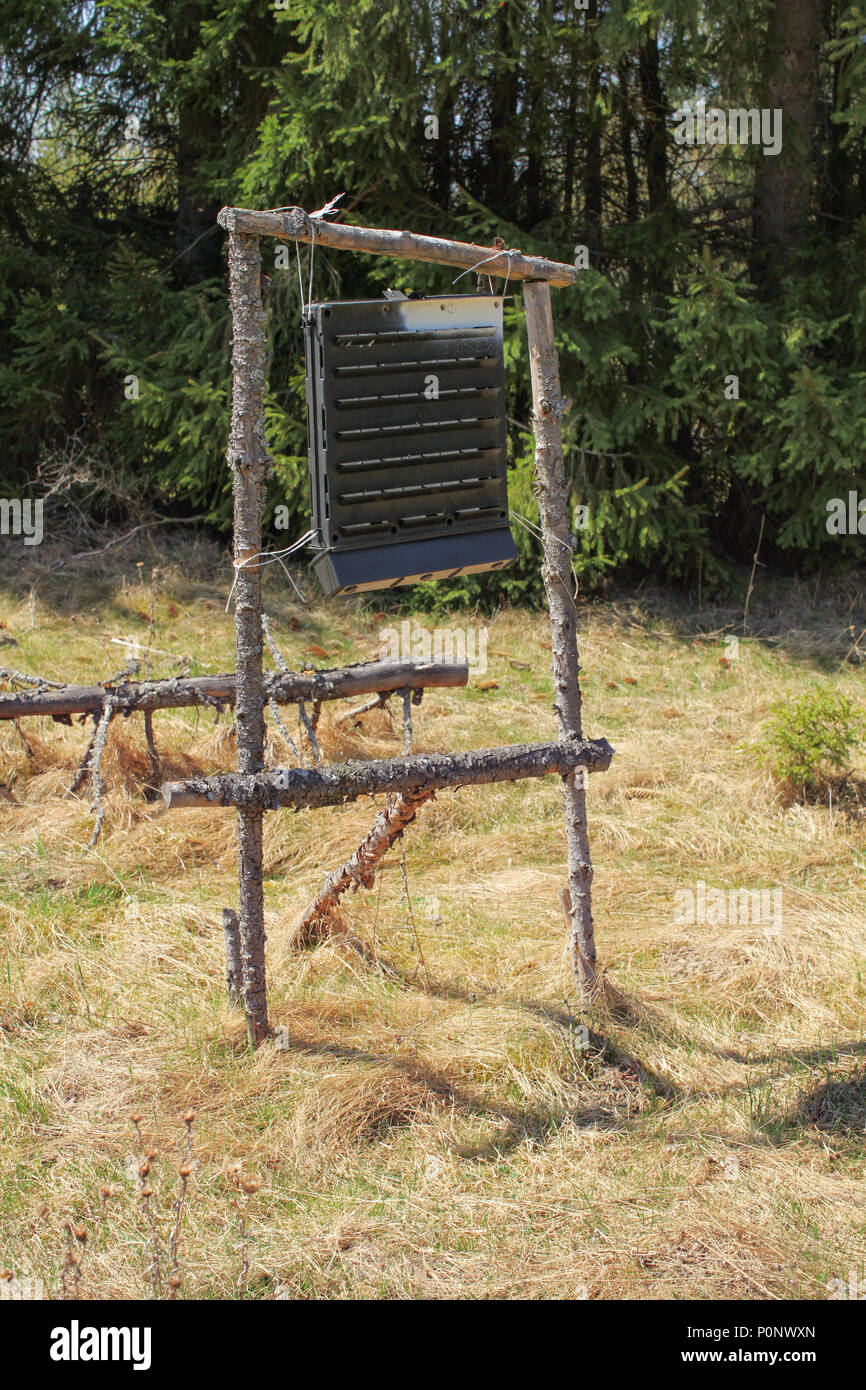Box with insect pheromones in the forest, trap for great spruce bark beetle. Stock Photo