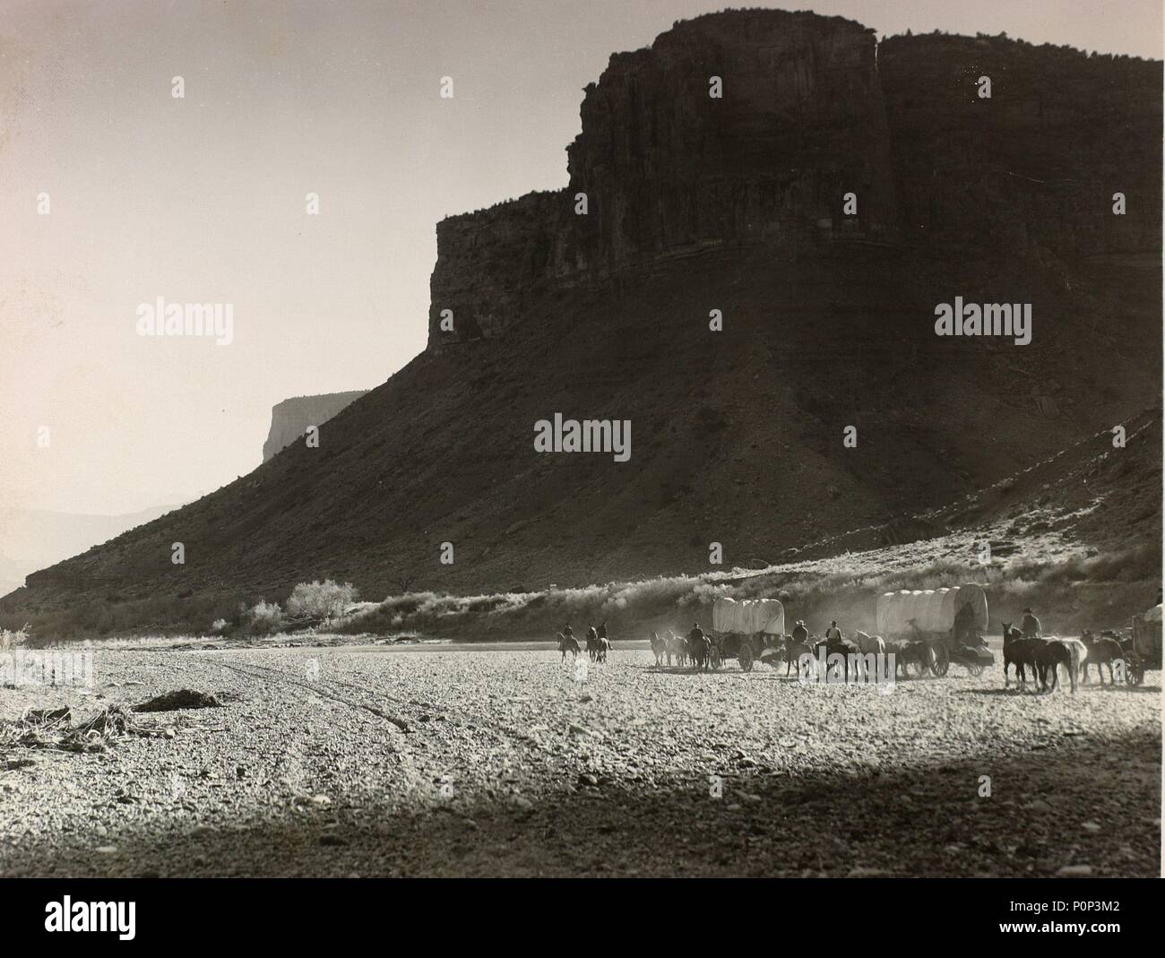 Original Film Title WAGON MASTER. English Title WAGON MASTER. Film