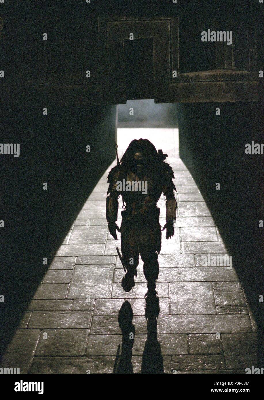 Original Film Title: ALIEN VS. PREDATOR. English Title: ALIEN VS