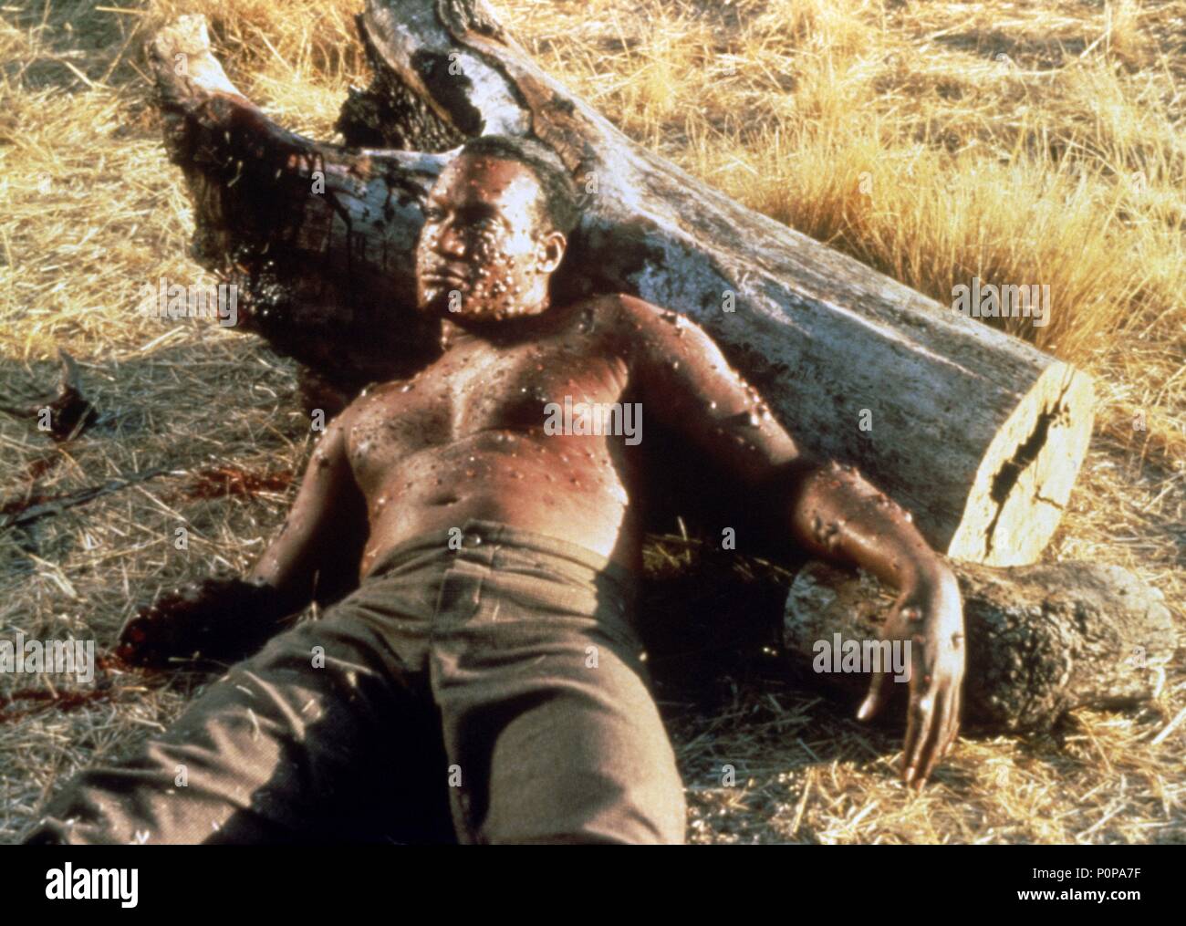 Foto de Tony Todd - Candyman 2 - A Vingança : Fotos Tony Todd