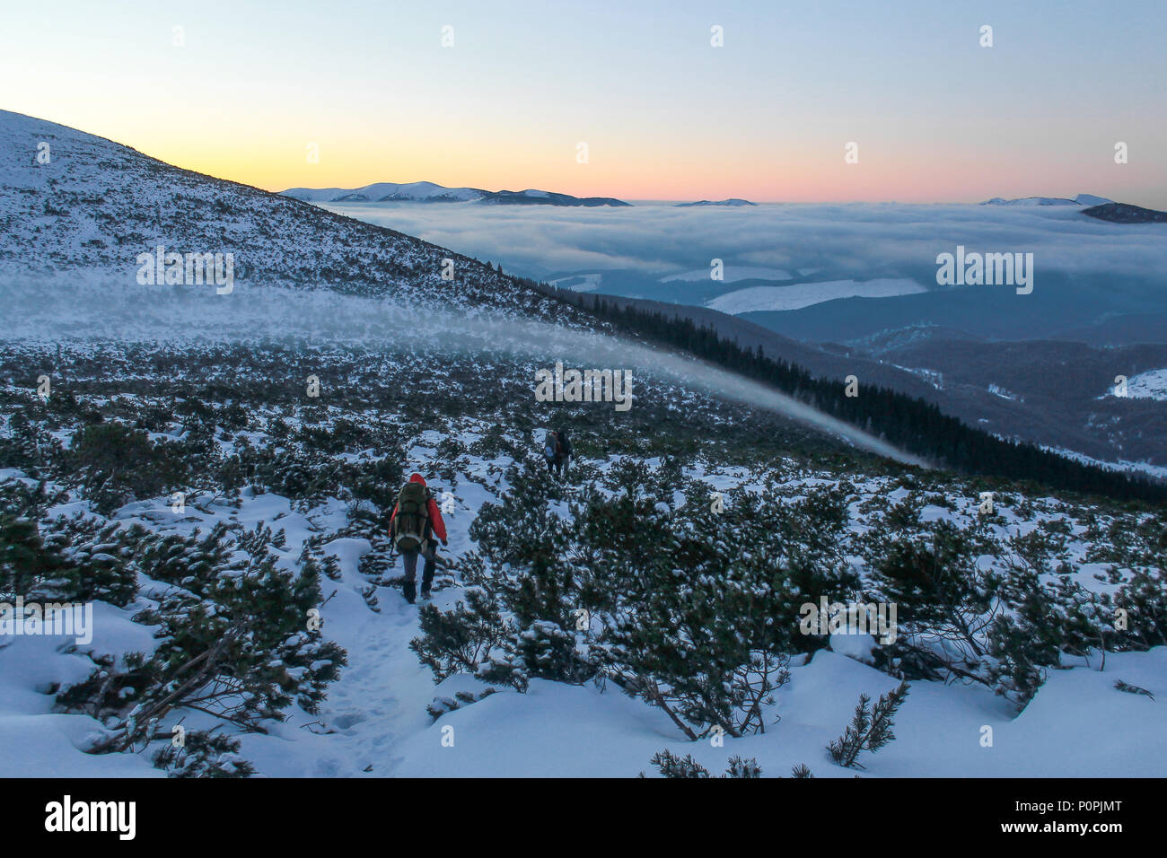Hiker walking between bushes hi-res stock photography and images - Alamy