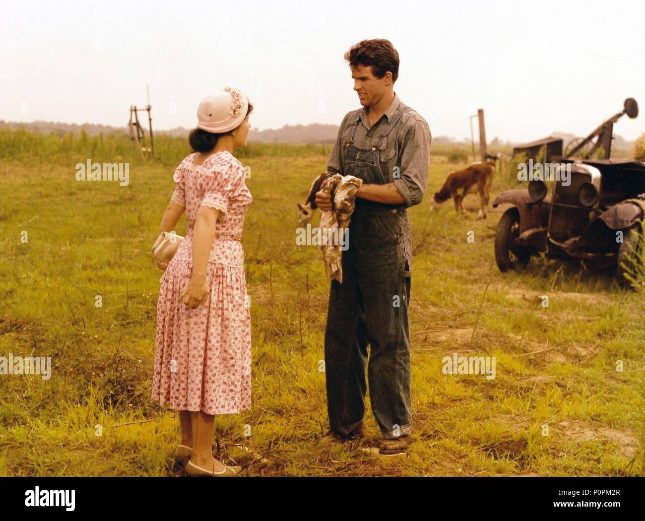 Original Film Title SPLENDOR IN THE GRASS. English Title SPLENDOR IN