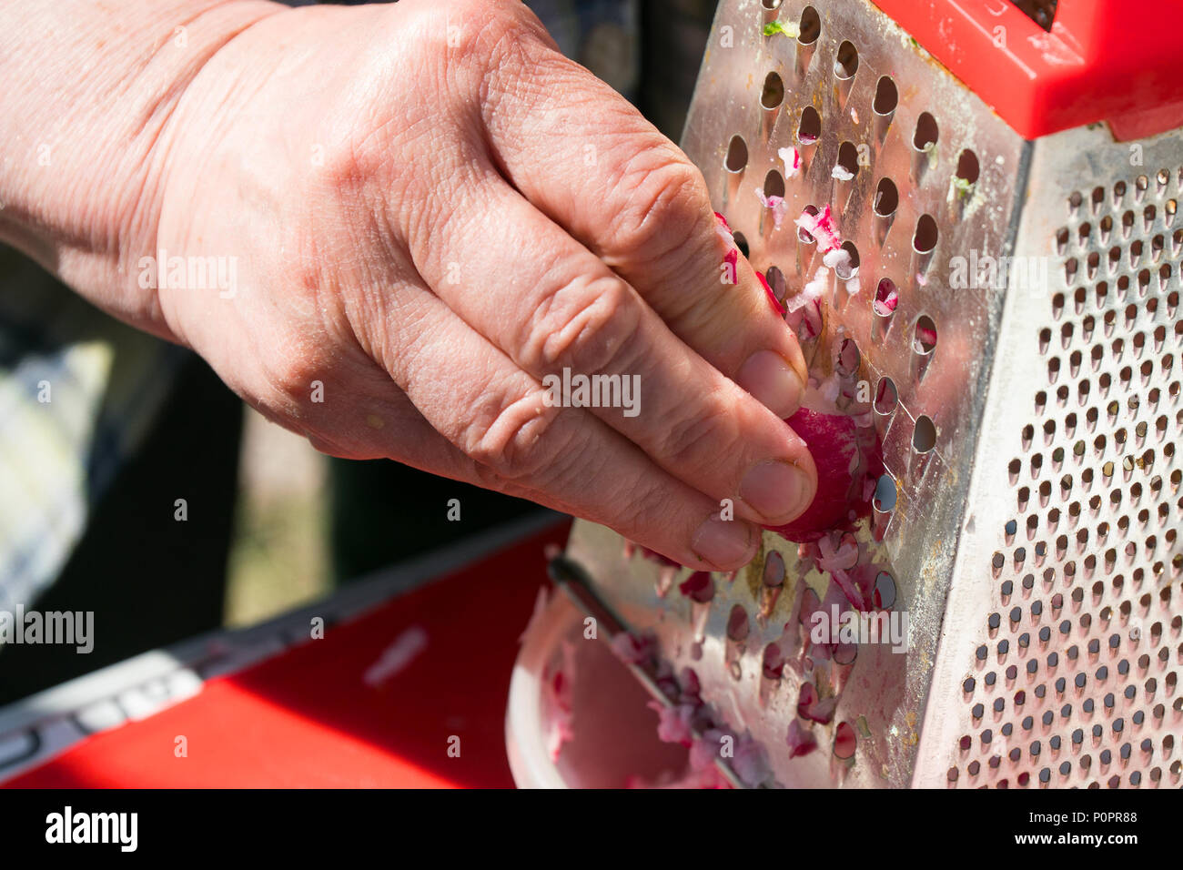 https://c8.alamy.com/comp/P0PR88/woman-rubs-vegetables-on-a-grater-P0PR88.jpg