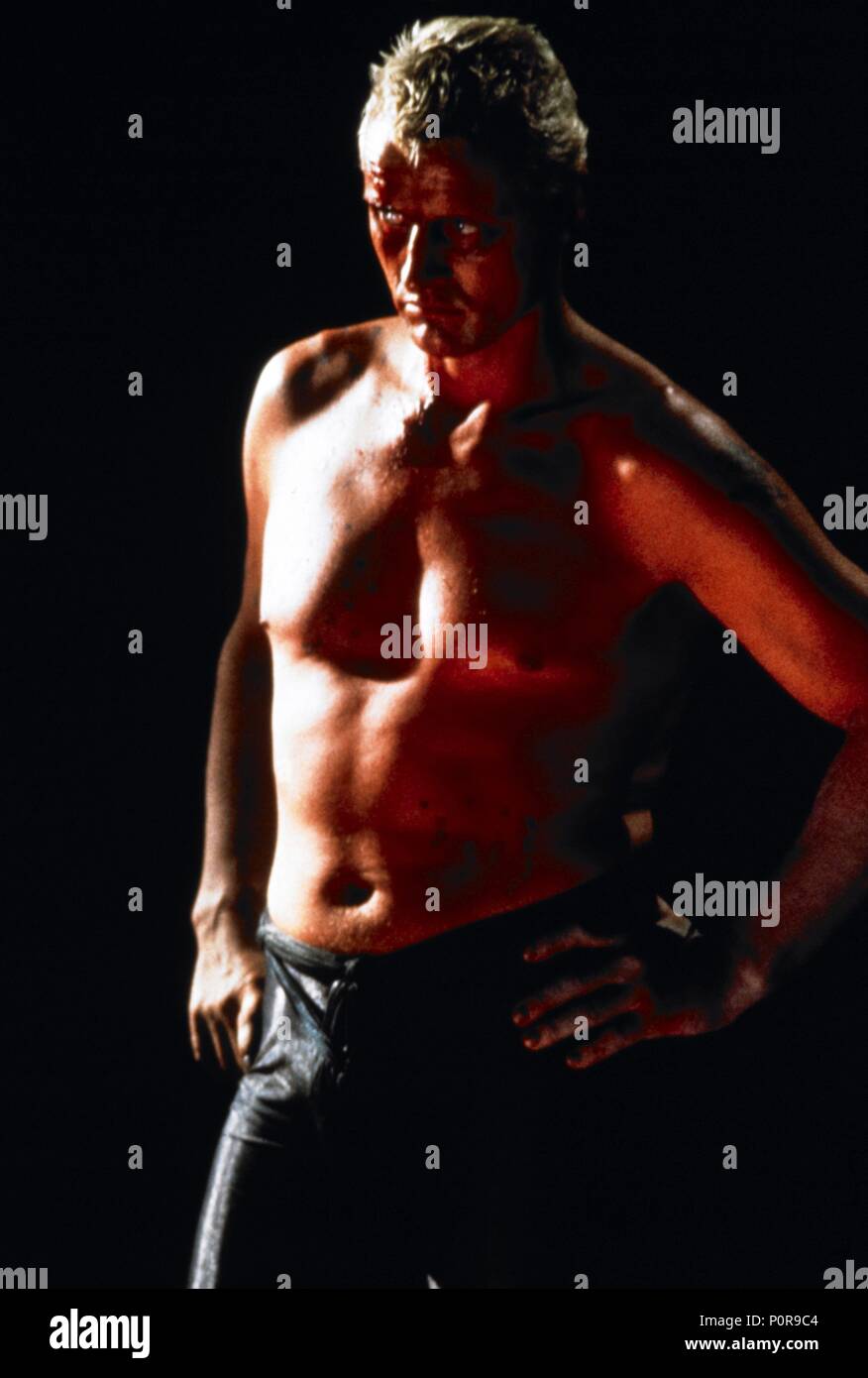 Original Film Title: BLADE RUNNER. English Title: BLADE RUNNER. Film ...