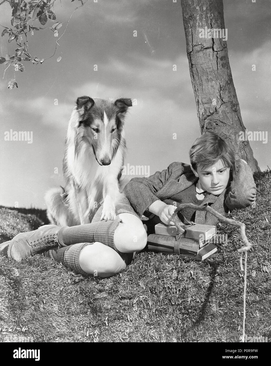 Original Film Title Lassie Come Home English Title Lassie Come Home Film Director Fred M 