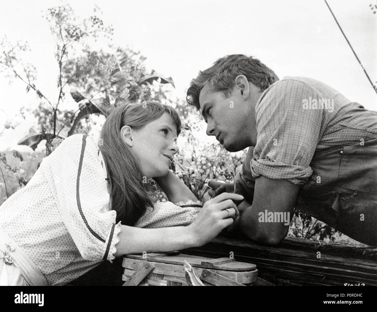 James Dean And Julie Harris Hi Res Stock Photography And Images Alamy