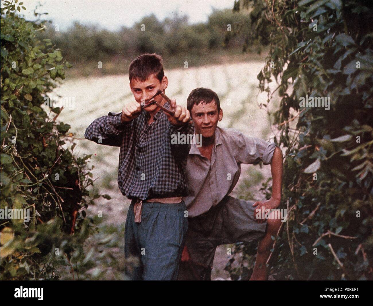Original Film Title: TASIO English Title: TASIO Film Director: MONTXO Original Film Title: TASIO English Title: TASIO Film Director: MONTXO