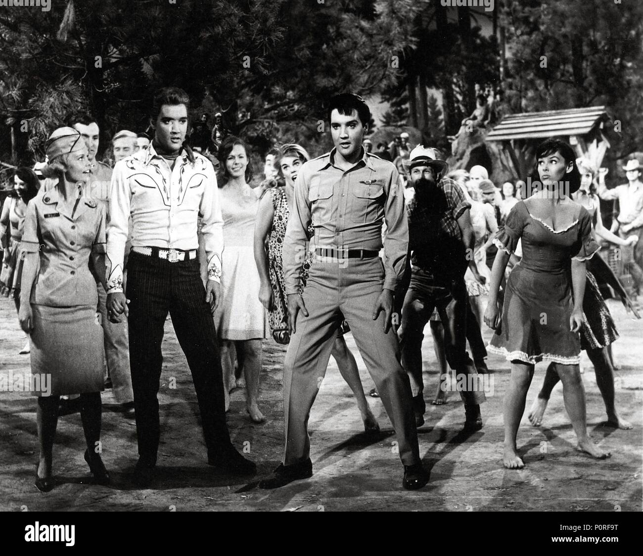 Elvis Presley Kissin' Cousins High Resolution Stock Photography and ...