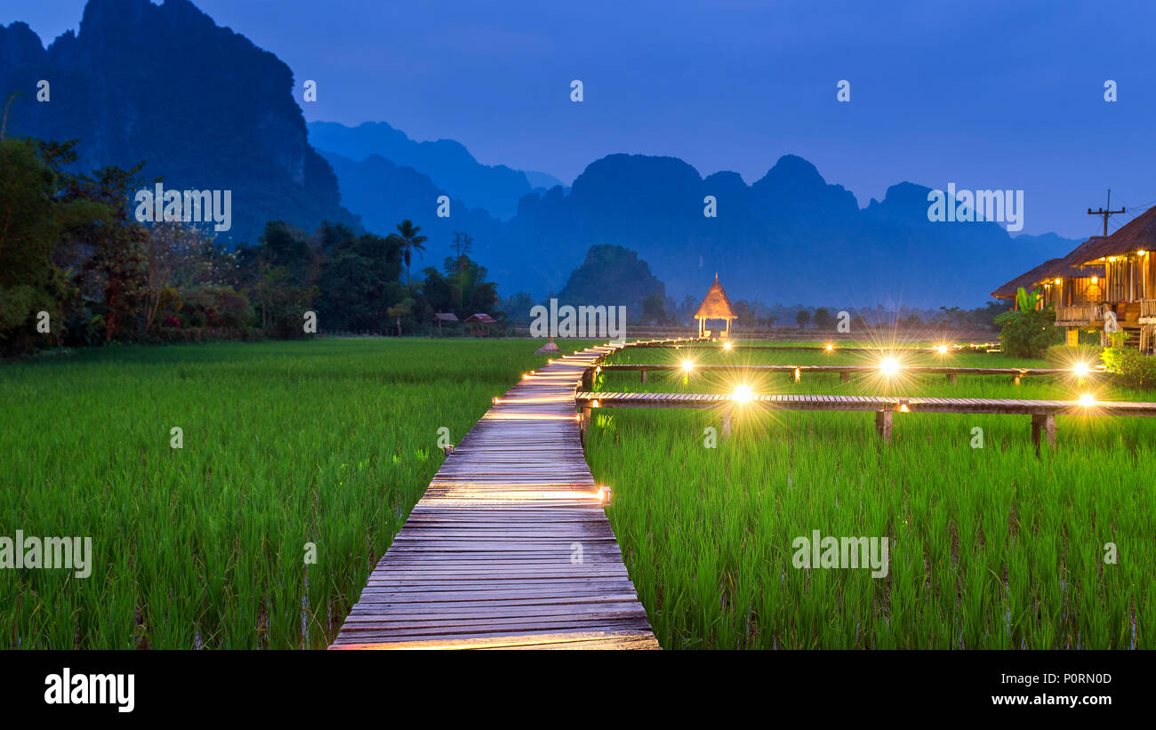 Wooden path and green rice field at night in Vang Vieng, Laos. Stock Photo