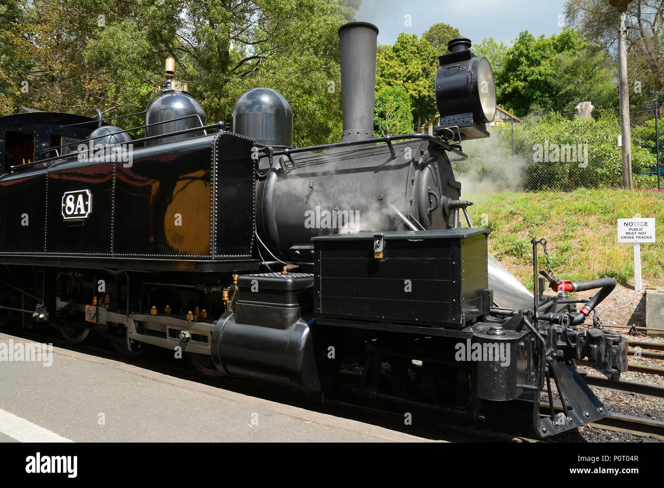 Puffing Billy, Australia's premier preserved steam railway, Melbourne