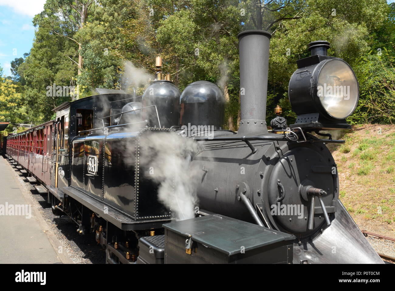 Puffing Billy, Australia's premier preserved steam railway, Melbourne Stock Photo