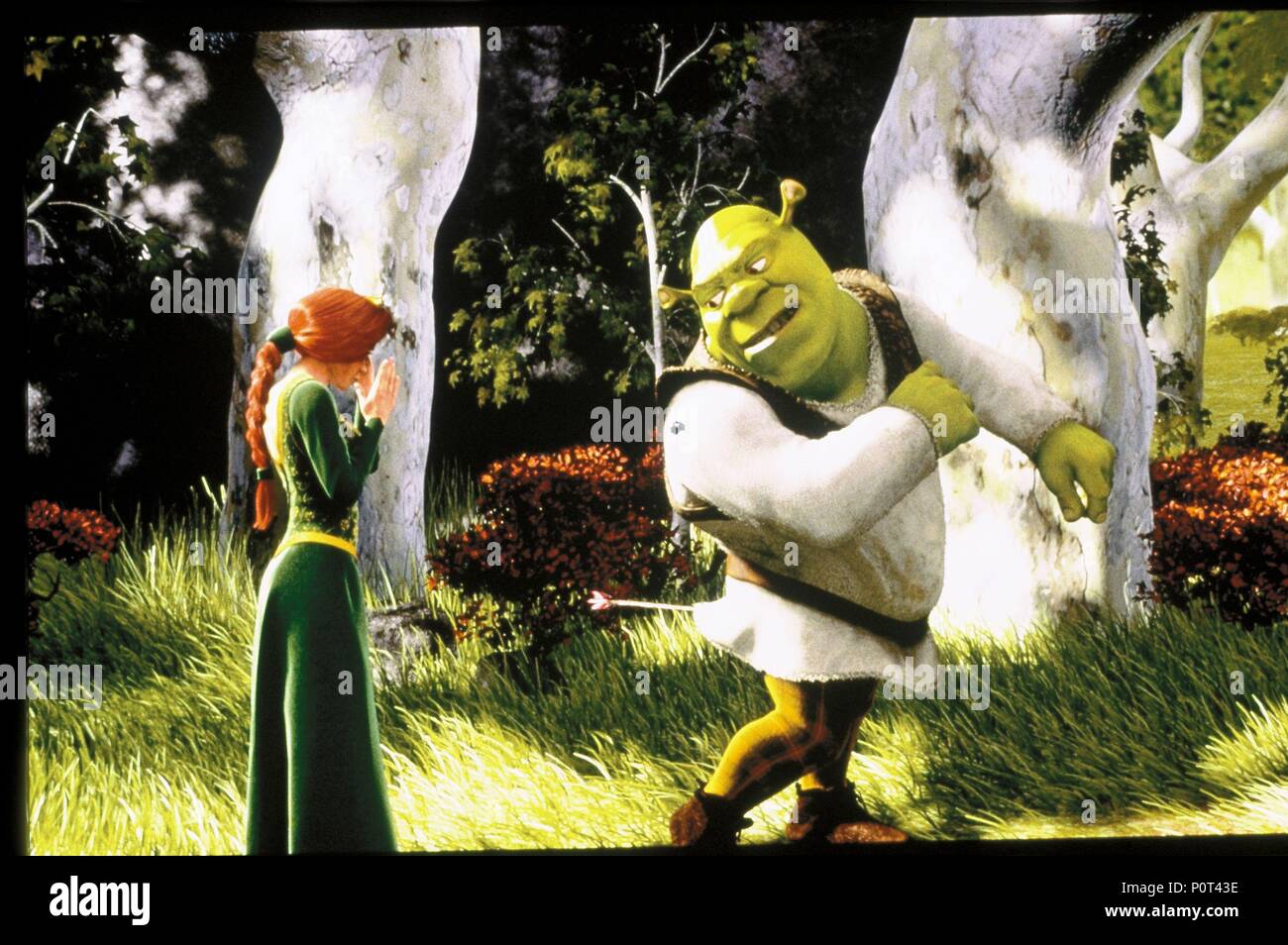 wait what — tvandfilm: SHREK (2001) dir. Vicky Jenson, Andrew