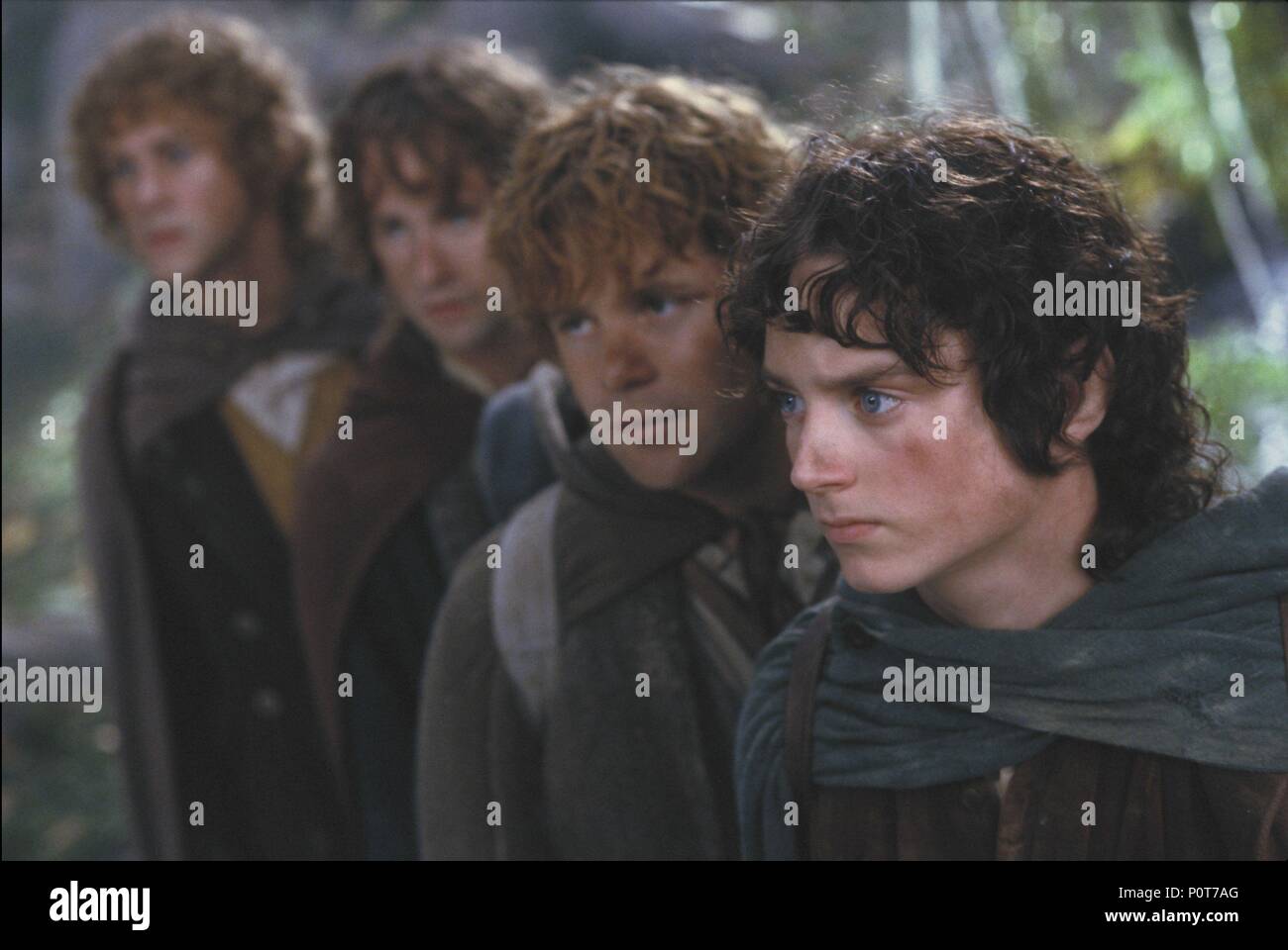Where was fellowship of the ring filmed