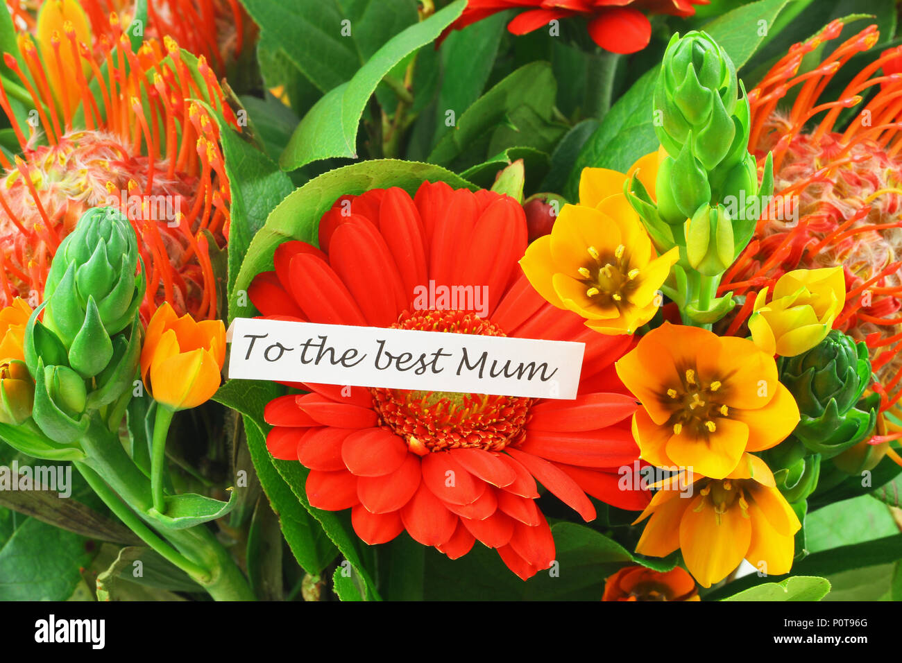 To the best Mum card with background of colorful flowers Stock Photo