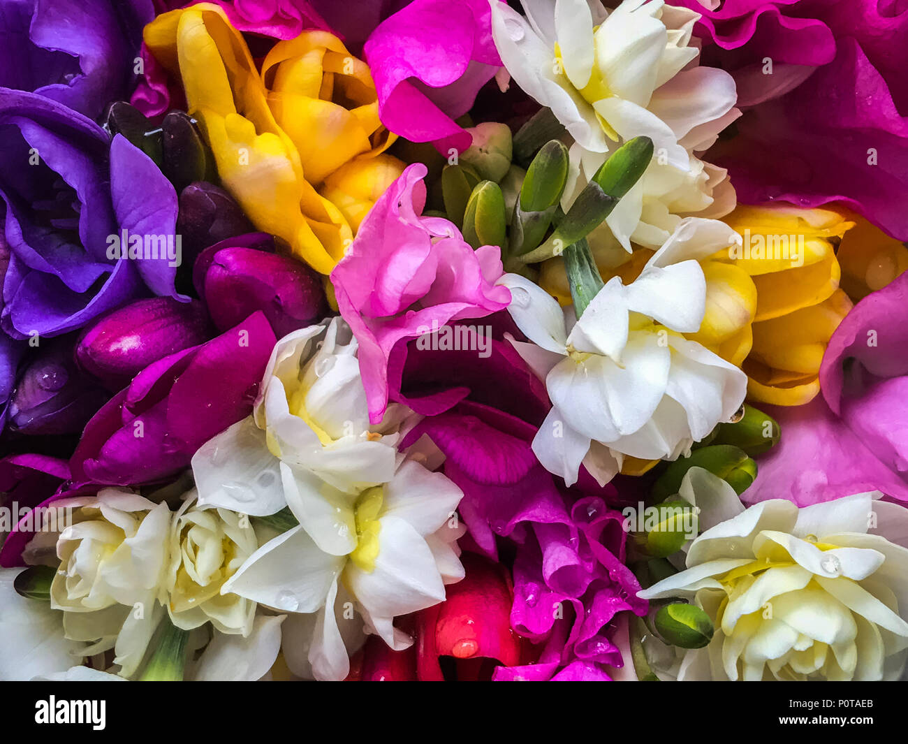 A Bouquet of Spring Flowers Stock Photo