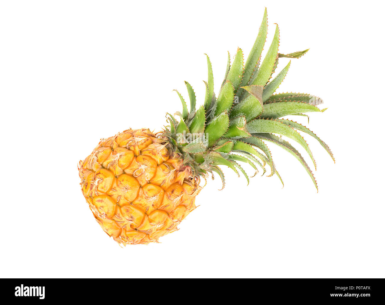 Small pineapple hires stock photography and images Alamy