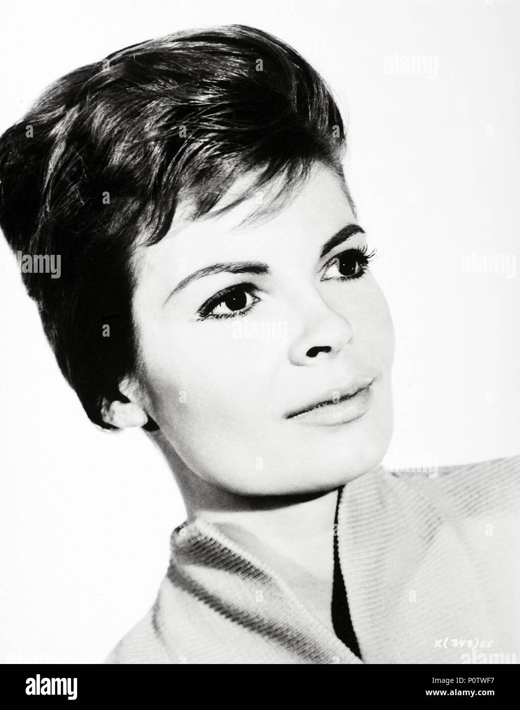 Eva Lazzaro Eva Lazzaro