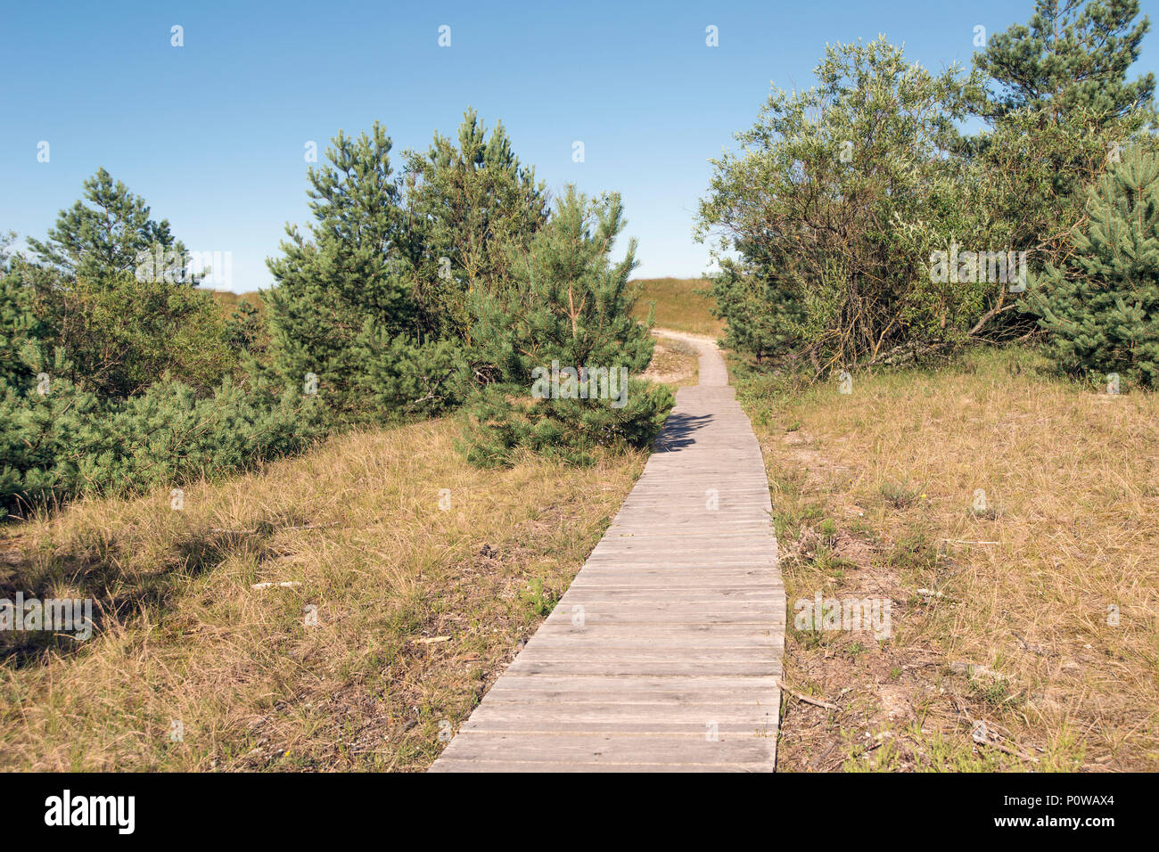ecological wooden pathway in coastal forest area near Baltic sea in Lithuania Stock Photo