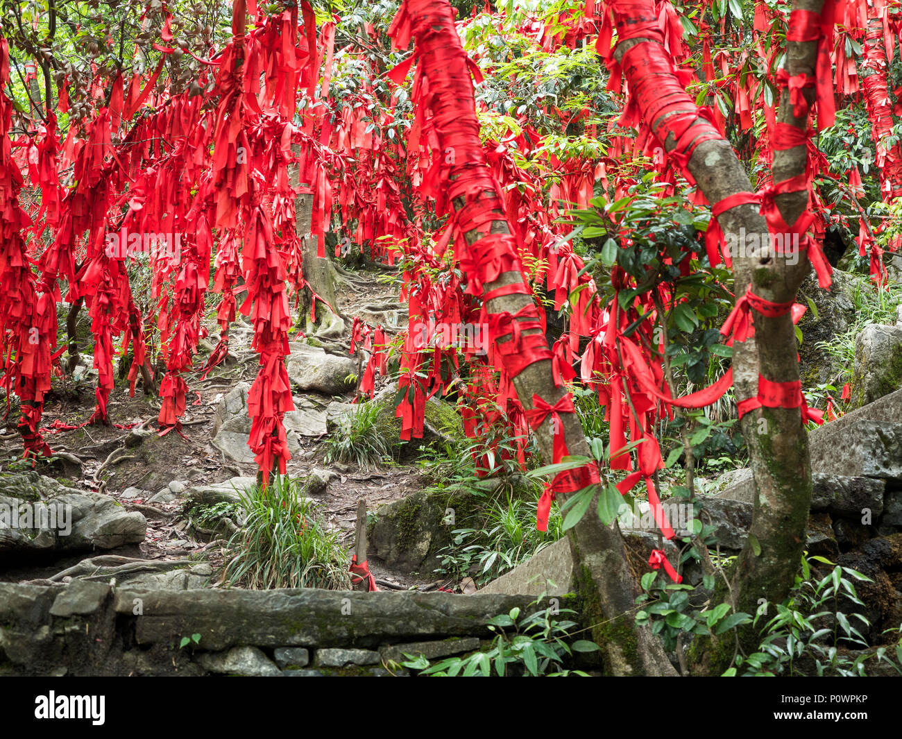 Red ribbon with written wishes hangging on the trees at Tianmen Mountain, The Heaven's Gate at Zhangjiagie, Hunan Province, China, Asia Stock Photo