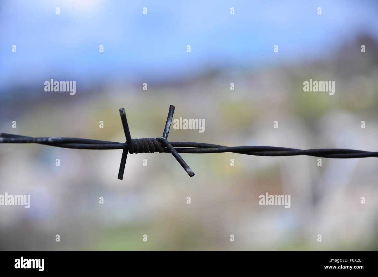 Macro shot of an element of old and rusty barbed wire with a blurred ...