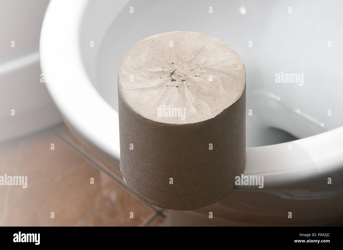 A roll of gray toilet paper lies on a white ceramic toilet in the