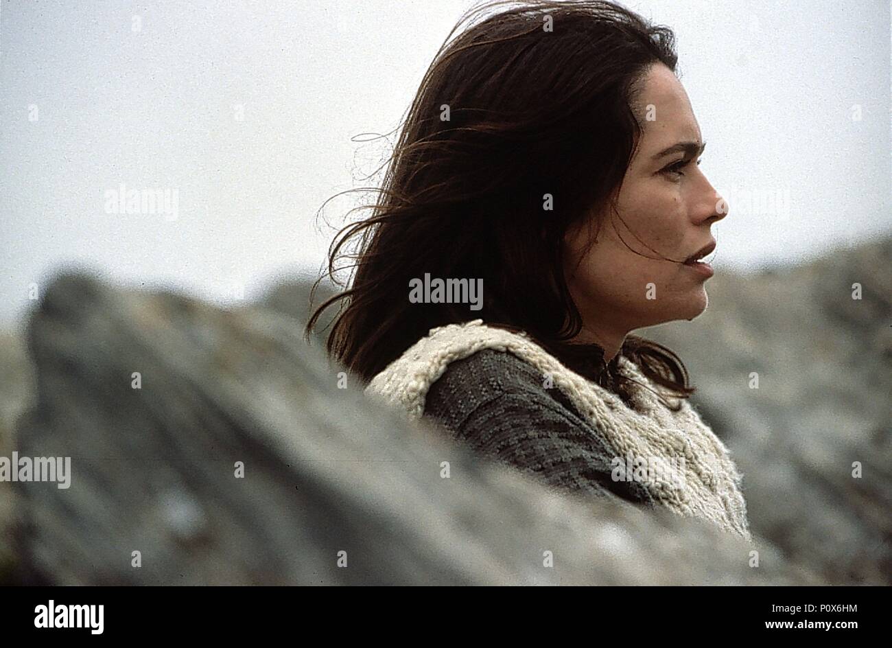 Original Film Title: BALSA DE PIEDRA, LA. English Title: STONE RAFT ...