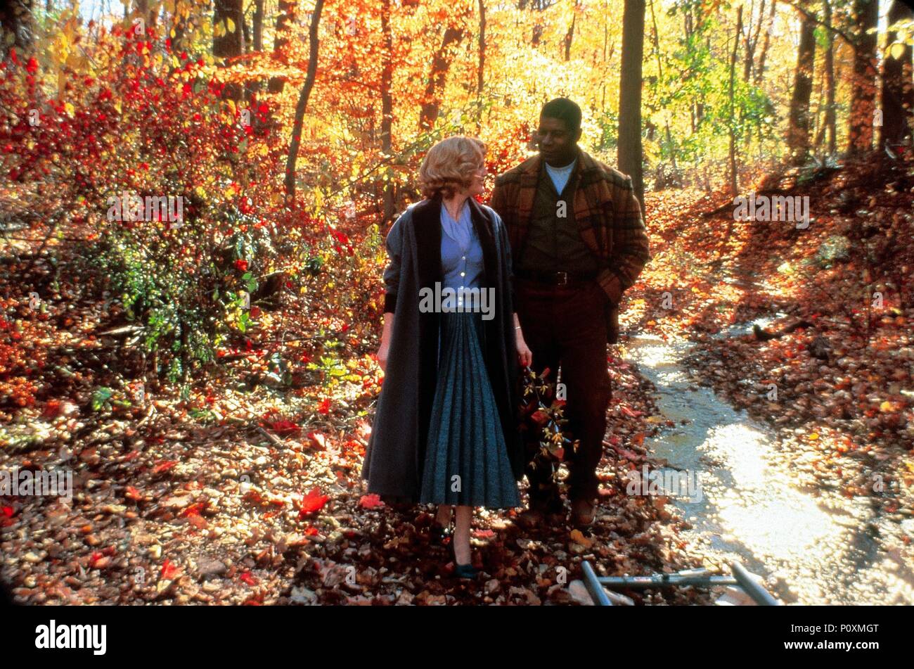 Original Film Title: FAR FROM HEAVEN. English Title: FAR FROM HEAVEN ...