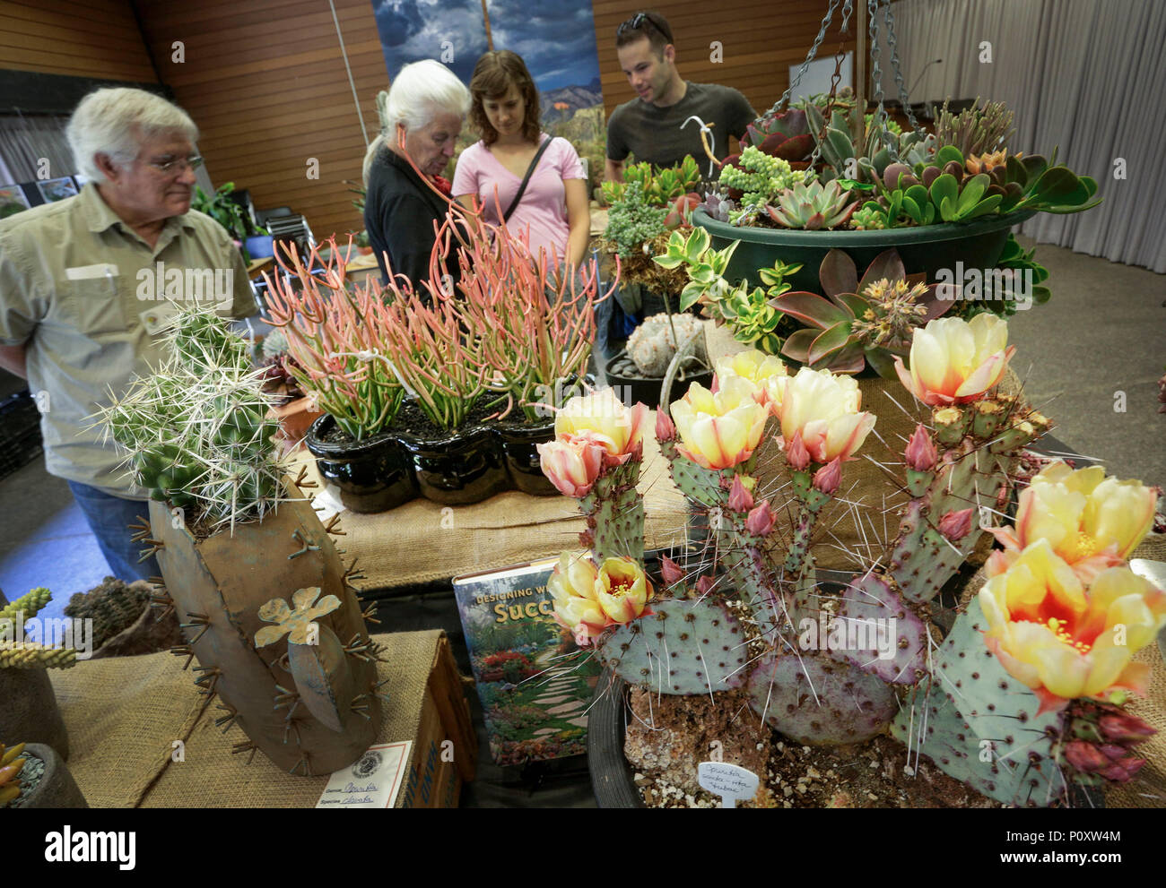 Vancouver, Canada. 9th June, 2018. Visitors look at different cactus and succulent plants at the Vancouver Desert Plant Show in Vancouver, Canada, June 9, 2018. The annual Vancouver Desert Plant Show is a two-day event to provide opportunities for the cactus and succulent plants enthusiasts to show their plants and share planting experiences. Credit: Liang Sen/Xinhua/Alamy Live News Stock Photo