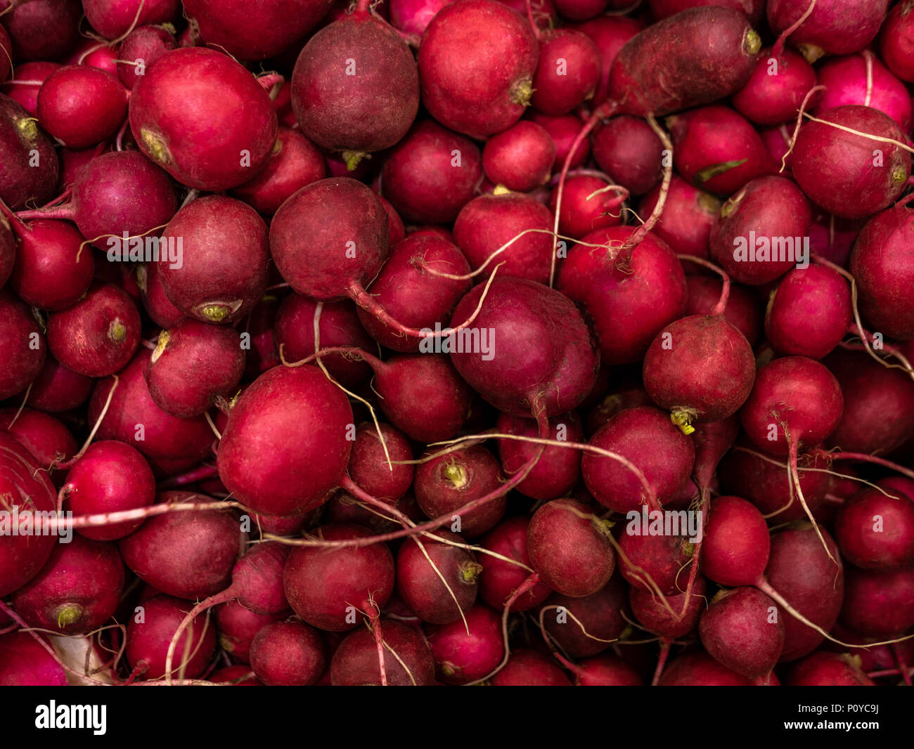 Radishes Ripe Producedepartment hi-res stock photography and images - Alamy