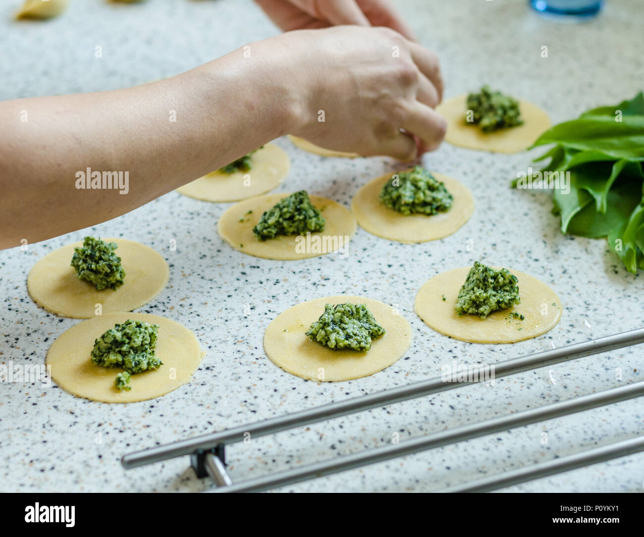 Making tortellini with cheese and bear garlic Stock Photo Alamy