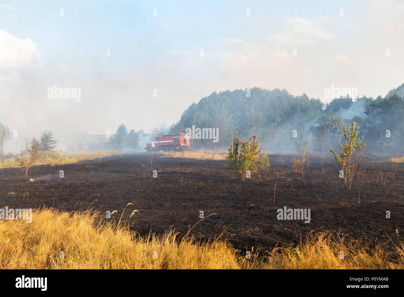 Forest wildfire due to dry windy weather. Fire engine with firefighters handling flame, Blue sky