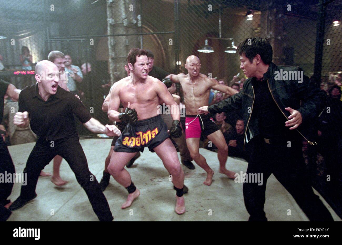 Original Film Title CRADLE 2 THE GRAVE. English Title CRADLE 2 THE