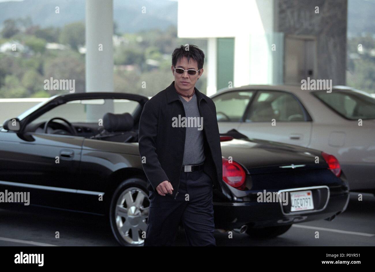 Film Jet Li Cradle 2 The Grave at Douglas Wilder blog