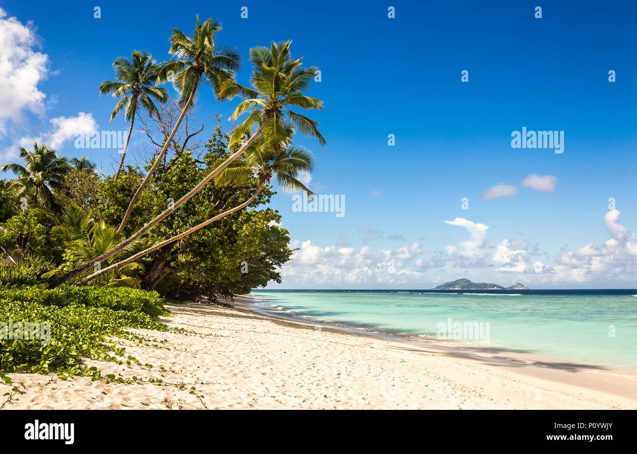 Idyllic scenery of sandy beach and turquoise Indian Ocean in the Seychelles Stock Photo