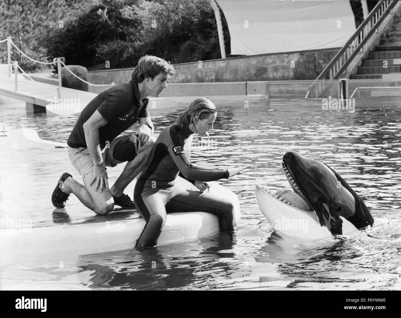 Original Film Title Jaws 3 D English Title Jaws 3 D Film Director Original Film Title Jaws 3 D English Title Jaws 3 D Film Director