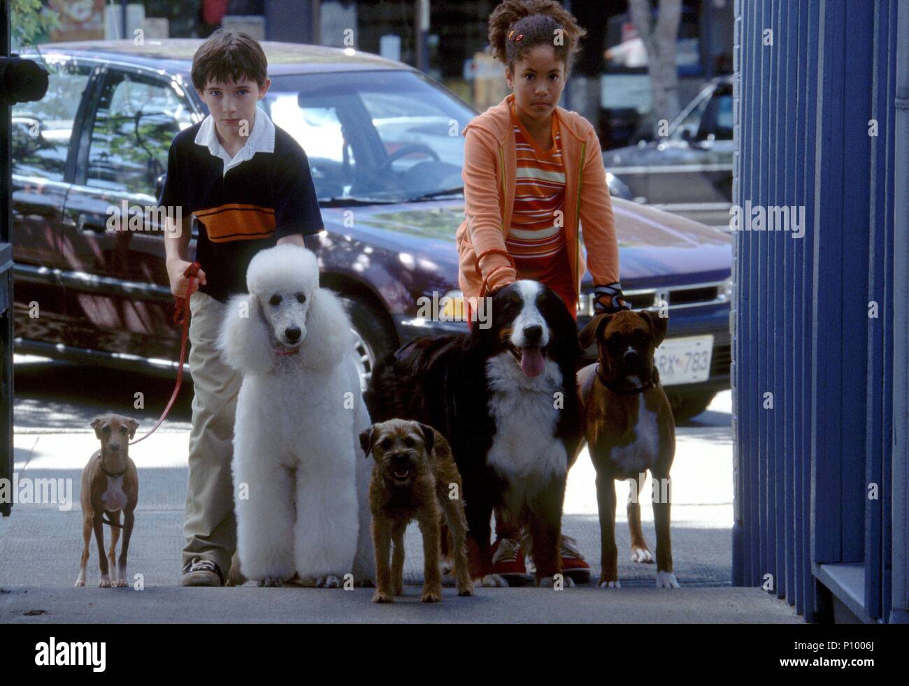 Original Film Title GOOD BOY!. English Title GOOD BOY!. Film Director